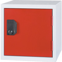Flex Cube Locker 30