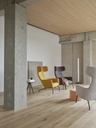 Softline Havana Wingchair