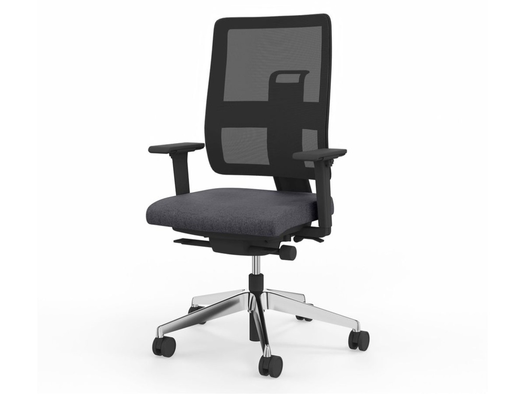 Viasit Toleo bureaustoel NPR1813