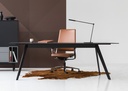 Dignis manager bureau