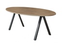 Buroflex A-serie ellipsvormige vergadertafel 220x110cm