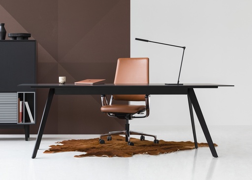 Dignis manager bureau